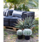 FEROCACTUS ΦΥΤΟ ΤΕΧΝΗΤΟ ΣΕ ΓΛΑΣΤΡΑ 25x25x33cm ΥΦΑΣΜΑ ΠΡΑΣΙΝΟ ΛΕΥΚΟ ΠΛΑΣΤΙΚΟ 019207 - Image 4