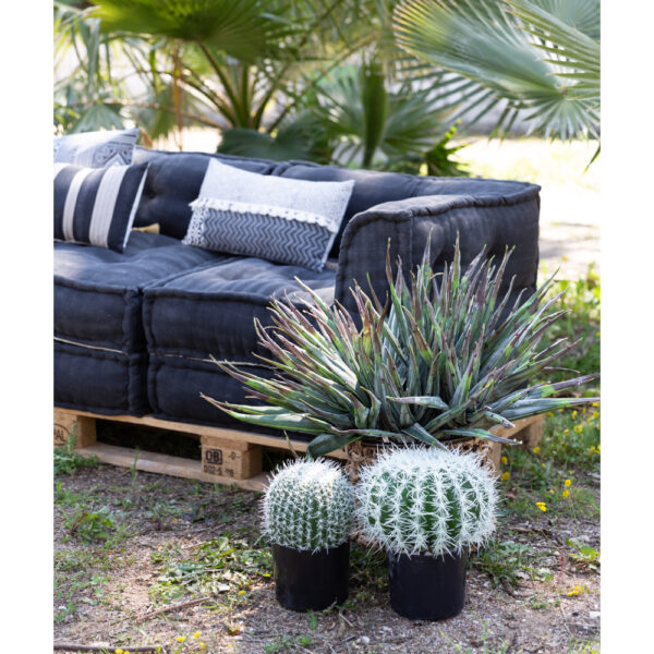 FEROCACTUS ΦΥΤΟ ΤΕΧΝΗΤΟ ΣΕ ΓΛΑΣΤΡΑ 25x25x33cm ΥΦΑΣΜΑ ΠΡΑΣΙΝΟ ΛΕΥΚΟ ΠΛΑΣΤΙΚΟ 019207 - Image 4