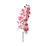 ORCHIDEE ΛΟΥΛΟΥΔΙ ΤΕΧΝΗΤΟ 91x16x10cm PEVA ΡΟΖ ΛΕΥΚΟ 020263 - Image 2