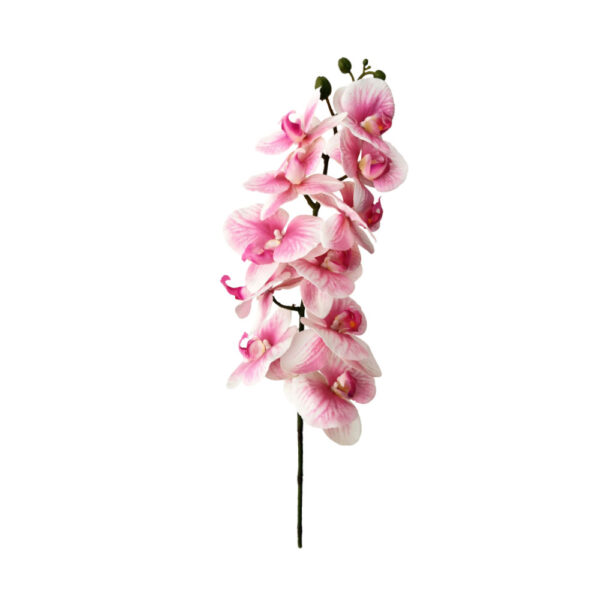 ORCHIDEE ΛΟΥΛΟΥΔΙ ΤΕΧΝΗΤΟ 91x16x10cm PEVA ΡΟΖ ΛΕΥΚΟ 020263 - Image 2