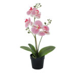 ORCHID 1 ΦΥΤΟ ΤΕΧΝΗΤΟ ΣΕ ΓΛΑΣΤΡΑ 35cm PE/PP ΡΟΖ ΠΡΑΣΙΝΟ PEVA 022415 - Image 2