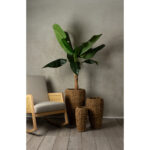 NEREA TALL ΓΛΑΣΤΡΑ SET 3ΤΜΧ 43x43x70cm SEAGRASS ΦΥΣΙΚΟ ΜΕΤΑΛΛΟ 027369 - Image 5