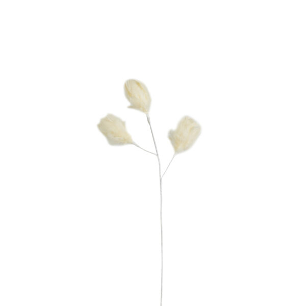LAUREL PEARL ΚΛΑΔΙ ΤΕΧΝΗΤΟ ΜΕ ΦΤΕΡΑ 54cm ΦΤΕΡΟ ΚΡΕΜ 027980 - Image 2