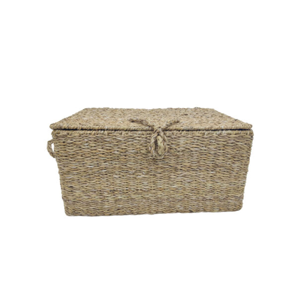 ALMAR ΚΟΥΤΙ ΑΠΟΘΗΚΕΥΣΗΣ SET 3ΤΜΧ 50x34x25cm SEAGRASS ΦΥΣΙΚΟ ΣΙΔΕΡΟ 028664 - Image 2