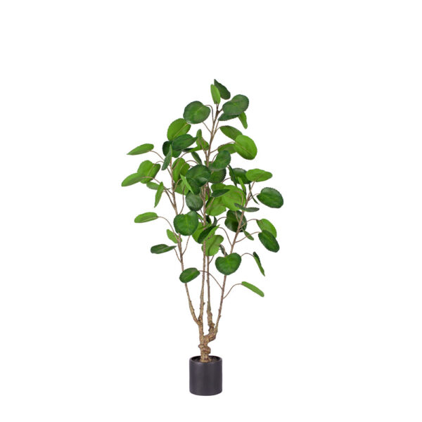 MONEY POCKET ΔΕΝΤΡΟ ΤΕΧΝΗΤΟ ΣΕ ΓΛΑΣΤΡΑ 120cm PE ΠΡΑΣΙΝΟ 029865 - Image 3