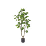 MONEY POCKET ΔΕΝΤΡΟ ΤΕΧΝΗΤΟ ΣΕ ΓΛΑΣΤΡΑ 150cm PE ΠΡΑΣΙΝΟ 029866 - Image 3