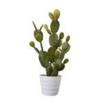 REBUTIA ΦΥΤΟ ΤΕΧΝΗΤΟ ΣΕ ΓΛΑΣΤΡΑ 67cm PVC ΠΡΑΣΙΝΟ ΛΕΥΚΟ ΤΣΙΜΕΝΤΟ 030825 - Image 4