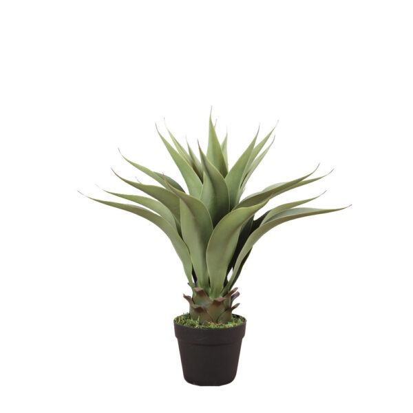 AGAVE ΦΥΤΟ ΤΕΧΝΗΤΟ ΣΕ ΓΛΑΣΤΡΑ 55cm PVC ΠΡΑΣΙΝΟ ΜΑΥΡΟ ΤΣΙΜΕΝΤΟ 030827 - Image 2