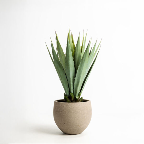 AGAVE ΦΥΤΟ ΤΕΧΝΗΤΟ ΣΕ ΓΛΑΣΤΡΑ 58cm PVC ΠΡΑΣΙΝΟ ΜΑΥΡΟ ΤΣΙΜΕΝΤΟ 030829 - Image 6
