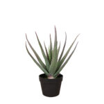 ALOE ΦΥΤΟ ΤΕΧΝΗΤΟ ΣΕ ΓΛΑΣΤΡΑ 52cm PVC ΠΡΑΣΙΝΟ ΜΑΥΡΟ ΤΣΙΜΕΝΤΟ 030830 - Image 2