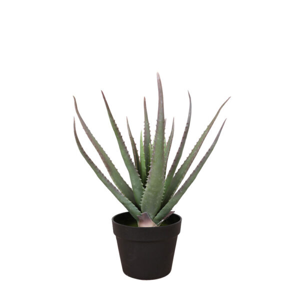ALOE ΦΥΤΟ ΤΕΧΝΗΤΟ ΣΕ ΓΛΑΣΤΡΑ 52cm PVC ΠΡΑΣΙΝΟ ΜΑΥΡΟ ΤΣΙΜΕΝΤΟ 030830 - Image 2