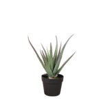 ALOE ΦΥΤΟ ΤΕΧΝΗΤΟ ΣΕ ΓΛΑΣΤΡΑ 43cm PVC ΠΡΑΣΙΝΟ ΜΑΥΡΟ ΤΣΙΜΕΝΤΟ 030831 - Image 2