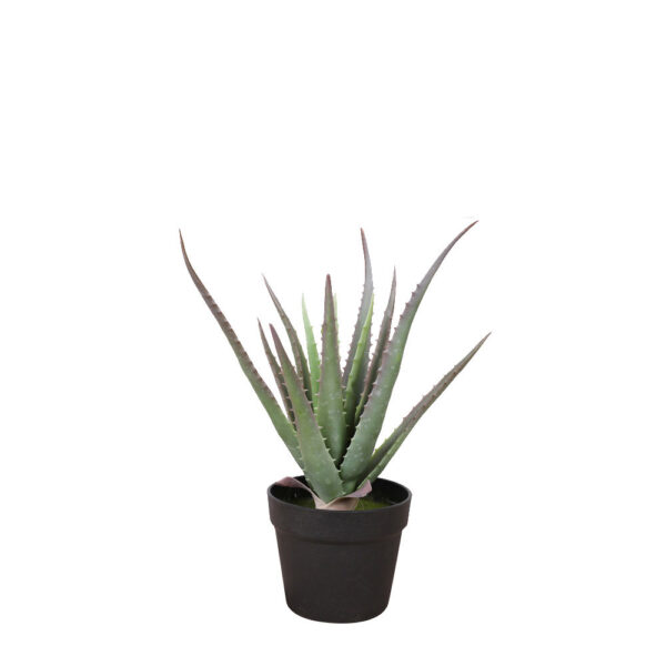 ALOE ΦΥΤΟ ΤΕΧΝΗΤΟ ΣΕ ΓΛΑΣΤΡΑ 43cm PVC ΠΡΑΣΙΝΟ ΜΑΥΡΟ ΤΣΙΜΕΝΤΟ 030831 - Image 2