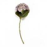 HYDRANGEA ΛΟΥΛΟΥΔΙ ΤΕΧΝΗΤΟ 52cm POLYESTER ΠΡΑΣΙΝΟ ΜΩΒ ΠΡΑΣΙΝΟ 030870 - Image 6