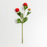 RANUNCULUS ΛΟΥΛΟΥΔΙ ΤΕΧΝΗΤΟ 42cm POLYESTER ΚΟΚΚΙΝΟ ΠΡΑΣΙΝΟ ΠΡΑΣΙΝΟ 030879 - Image 5