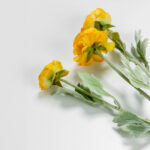 RANUNCULUS ΛΟΥΛΟΥΔΙ ΤΕΧΝΗΤΟ 51cm POLYESTER ΚΙΤΡΙΝΟ ΠΡΑΣΙΝΟ 030883 - Image 4