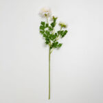 RANUNCULUS ΛΟΥΛΟΥΔΙ ΤΕΧΝΗΤΟ 61cm POLYESTER ΛΕΥΚΟ ΠΡΑΣΙΝΟ 030887 - Image 5