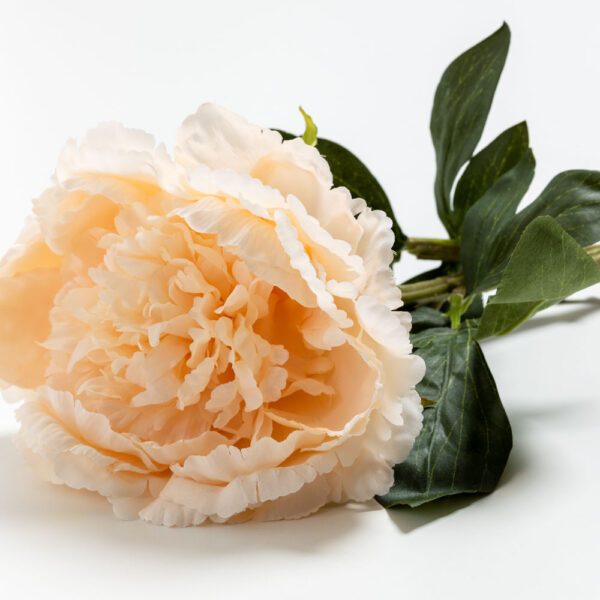 PEONY MIKADO ΛΟΥΛΟΥΔΙ ΤΕΧΝΗΤΟ 72cm POLYESTER ΣΟΜΟΝ ΠΡΑΣΙΝΟ 030909 - Image 7