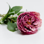 CABBAGE ROSE ΛΟΥΛΟΥΔΙ ΤΕΧΝΗΤΟ 66cm POLYESTER ΡΟΖ ΦΟΥΞΙΑ ΠΡΑΣΙΝΟ 030916 - Image 8