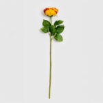 CABBAGE ROSE ΛΟΥΛΟΥΔΙ ΤΕΧΝΗΤΟ 66cm POLYESTER TERRACOTTA ΠΡΑΣΙΝΟ 030917 - Image 5