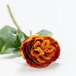 CABBAGE ROSE ΛΟΥΛΟΥΔΙ ΤΕΧΝΗΤΟ 66cm POLYESTER TERRACOTTA ΠΡΑΣΙΝΟ 030917 - Image 7