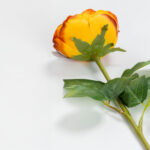 CABBAGE ROSE ΛΟΥΛΟΥΔΙ ΤΕΧΝΗΤΟ 66cm POLYESTER TERRACOTTA ΠΡΑΣΙΝΟ 030917 - Image 8