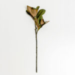 MAGNOLIA LEAVES ΛΟΥΛΟΥΔΙ ΤΕΧΝΗΤΟ 83cm POLYESTER ΠΡΑΣΙΝΟ 030931 - Image 5