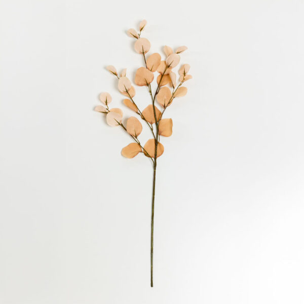 FRANCE EUCALYPTUS ΚΛΑΔΙ ΤΕΧΝΗΤΟ 90cm POLYESTER ΜΠΕΖ ΚΑΦΕ 030962 - Image 5