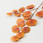 EUCALYPTUS ΚΛΑΔΙ ΤΕΧΝΗΤΟ 84cm POLYESTER TERRACOTTA 030965 - Image 6