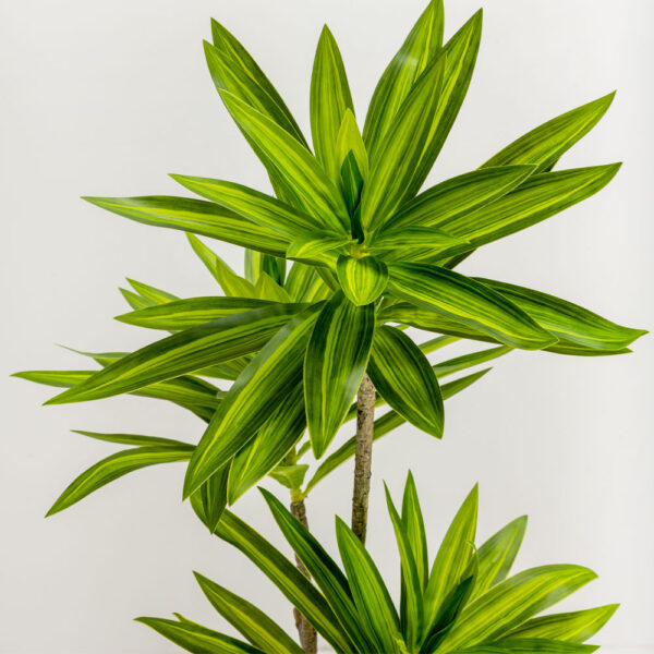 FATSIA ΔΕΝΤΡΟ ΤΕΧΝΗΤΟ ΣΕ ΓΛΑΣΤΡΑ 110cm ΥΦΑΣΜΑ ΠΡΑΣΙΝΟ PVC 031320 - Image 5