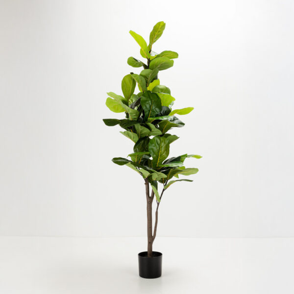 FICUS PANDURATA ΔΕΝΤΡΟ ΤΕΧΝΗΤΟ ΣΕ ΓΛΑΣΤΡΑ 180cm ΥΦΑΣΜΑ ΠΡΑΣΙΝΟ PVC 031329 - Image 8