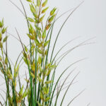 OAT GRASS ΦΥΤΟ ΤΕΧΝΗΤΟ ΣΕ ΓΛΑΣΤΡΑ 120cm PVC ΠΡΑΣΙΝΟ 031334 - Image 7