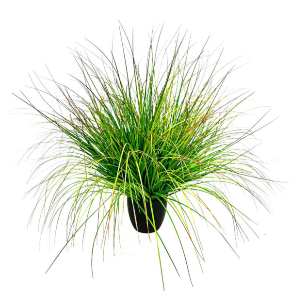 BENT GRASS ΦΥΤΟ ΤΕΧΝΗΤΟ ΣΕ ΓΛΑΣΤΡΑ 90cm PVC ΠΡΑΣΙΝΟ 031344 - Image 2