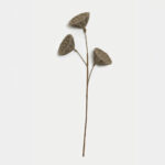 FLOWER FUSION ΚΛΑΔΙ ΤΕΧΝΗΤΟ 63cm FOAM ΚΑΦΕ PVC 031832 - Image 6