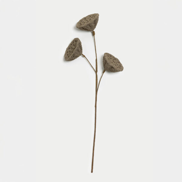 FLOWER FUSION ΚΛΑΔΙ ΤΕΧΝΗΤΟ 63cm FOAM ΚΑΦΕ PVC 031832 - Image 6