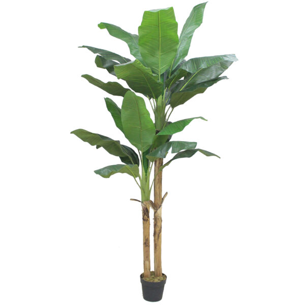 BANANA ΔΕΝΤΡΟ ΤΕΧΝΗΤΟ ΣΕ ΓΛΑΣΤΡΑ 220cm PEVA ΠΡΑΣΙΝΟ 032202 - Image 2