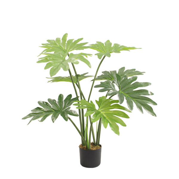 PHILODENDRON ΔΕΝΤΡΟ ΤΕΧΝΗΤΟ ΣΕ ΓΛΑΣΤΡΑ 80cm PEVA ΠΡΑΣΙΝΟ 032209 - Image 2