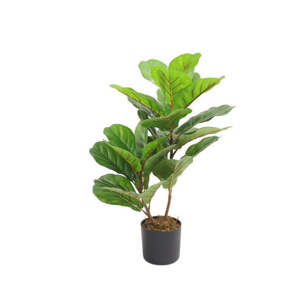 FIDDLE FIG ΔΕΝΤΡΟ ΤΕΧΝΗΤΟ ΣΕ ΓΛΑΣΤΡΑ 65cm PEVA ΠΡΑΣΙΝΟ 032211 - Image 2