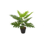 PHILODENDRON ΦΥΤΟ ΤΕΧΝΗΤΟ ΣΕ ΓΛΑΣΤΡΑ 45cm PEVA ΠΡΑΣΙΝΟ 032217 - Image 2
