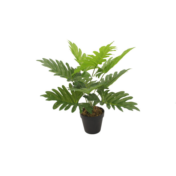 PHILODENDRON ΦΥΤΟ ΤΕΧΝΗΤΟ ΣΕ ΓΛΑΣΤΡΑ 45cm PEVA ΠΡΑΣΙΝΟ 032217 - Image 2