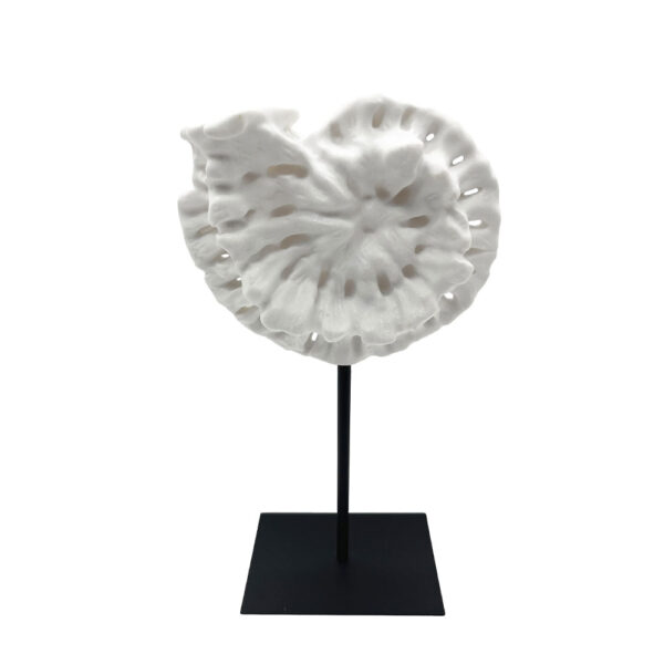 SHELL ΔΙΑΚΟΣΜΗΤΙΚΟ ΚΟΧΥΛΙ 20x11x36cm POLYRESIN ΑΣΠΡΟ ΜΑΥΡΟ ΜΕΤΑΛΛΟ 034307 - Image 2
