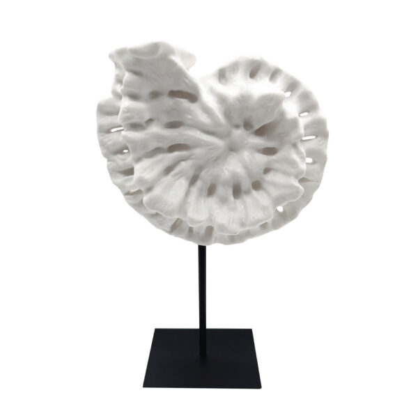 SHELL ΔΙΑΚΟΣΜΗΤΙΚΟ ΚΟΧΥΛΙ 25x12x41cm POLYRESIN ΑΣΠΡΟ ΜΑΥΡΟ ΜΕΤΑΛΛΟ 034308 - Image 2