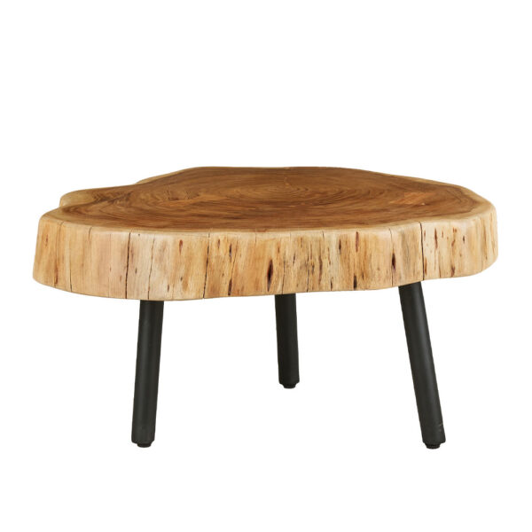 RAW COFFEE TABLE ΦΥΣΙΚΟ 80x80x40cm 04-0919 - Image 5