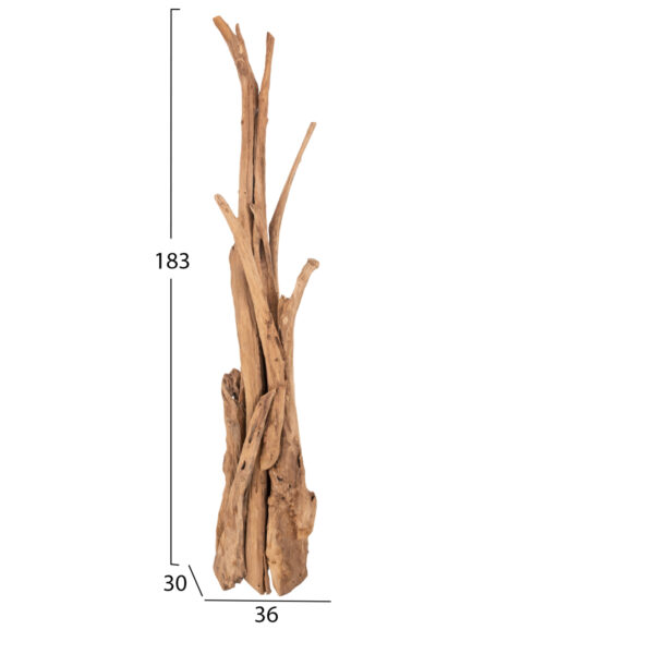 ΚΑΛΟΓΕΡΟΣ HM9367 ΑΠΟ ΜΑΣΙΦ ΞΥΛΟ TEAK ΦΥΣΙΚΟ 36x30x183Υεκ. - Image 2