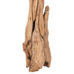 ΚΑΛΟΓΕΡΟΣ HM9367 ΑΠΟ ΜΑΣΙΦ ΞΥΛΟ TEAK ΦΥΣΙΚΟ 36x30x183Υεκ. - Image 5