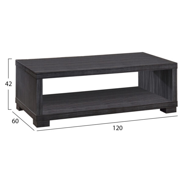 ΤΡΑΠΕΖΙ ΣΑΛΟΝΙΟΥ SALEM HM2217.01 ZEBRANO 120Χ60Χ42εκ. - Image 2