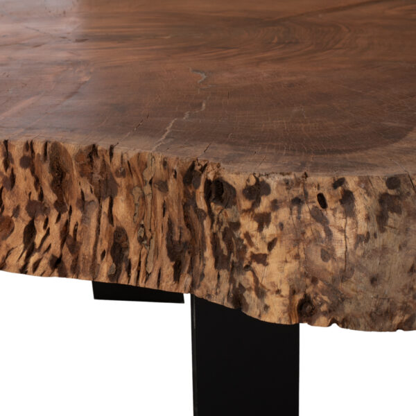 ΤΡΑΠΕΖΙ ΣΑΛΟΝΙΟΥ BRIGGS ΜΕ ΞΥΛΟ ΑΚΑΚΙΑΣ HM8776.11 80-87x50-83x40Yεκ. - Image 6