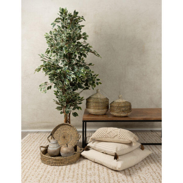 NILE PLEX ΚΑΛΑΘΙ ΜΕ ΚΑΠΑΚΙ SET 2ΤΜΧ 30x30x32cm KANSGRASS ΦΥΣΙΚΟ ΜΑΥΡΟ PVC 027425 - Image 2