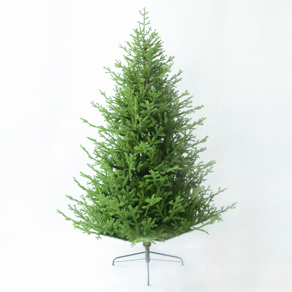 035261-Cgkgy-first-_1 NOEL VERDE ΧΡΙΣΤΟΥΓΕΝΝΙΑΤΙΚΟ ΔΕΝΤΡΟ 150x150x210cm PE/PVC ΠΡΑΣΙΝΟ 035261 - Image 1