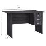 ΓΡΑΦΕΙΟ ΜΕ 3 ΣΥΡΤΑΡΙΑ HAYDEN HM2268.01 ΜΕΛΑΜΙΝΗ ΣΕ ΑΝΘΡΑΚΙ ΧΡΩΜΑ 120x60x75Υεκ - Image 2